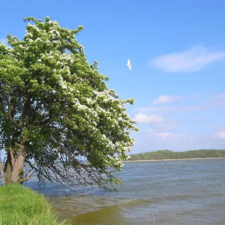 Διαμέρισμα Mahlke Stedar