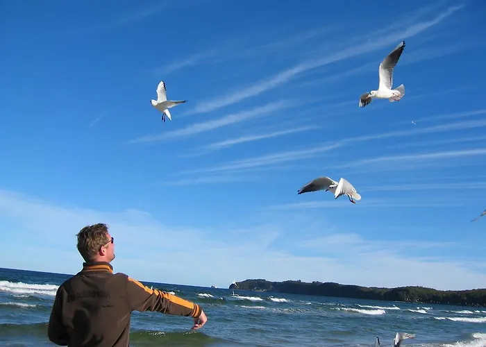 Διαμέρισμα Mahlke